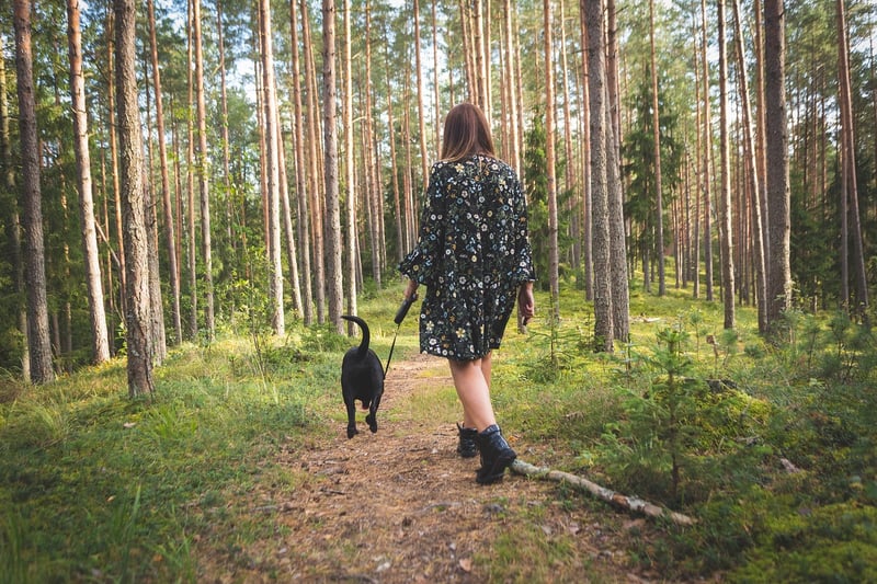 Nature Walk